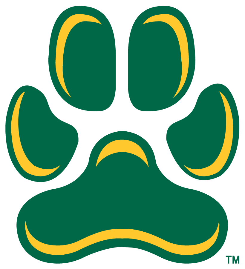 Siena Saints 2023-Pres Secondary Logo v4 diy DTF decal sticker